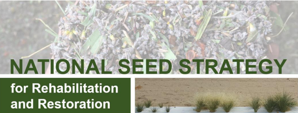 national seed strategy