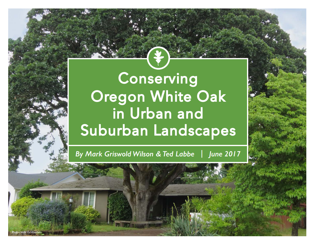 Conserving oregon white oak in urban and suburban landscapes