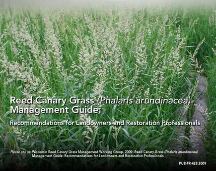 REED CANARY GRASS MANAGEMENT GUIDE