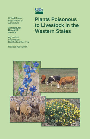 PLANTS POISONOUS TO LIVESTOCK IN THE WESTERN STATES