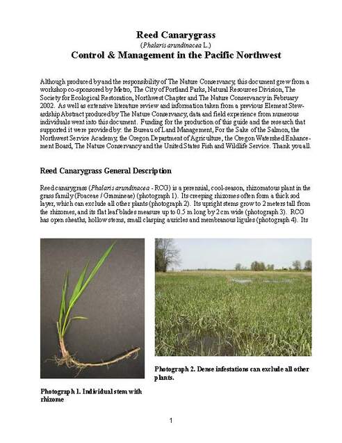 REED CANARY GRASS CONTROL & MANAGEMENT