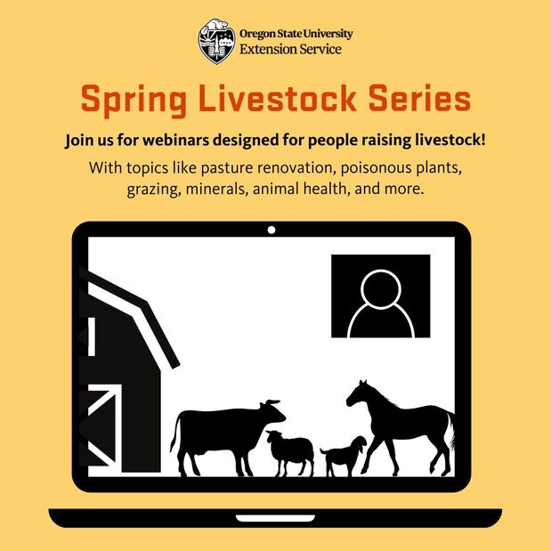 spring livestock series