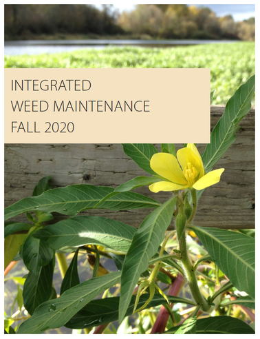integrated weed maintenance
