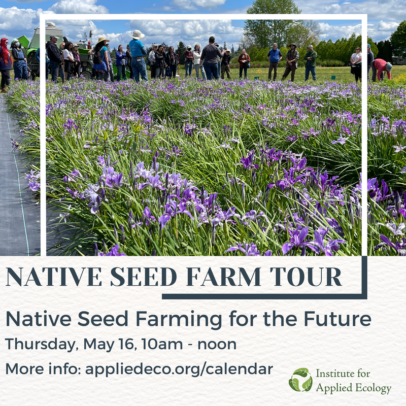 IAE Farm Public Tour: Native Seed Farming for the Future When: Thursday, May 16, 2024, 10am - noon Where: TBD. RSVP for details.