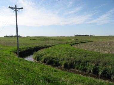 Improving filter strips or buffers along small tributary streams or ditches