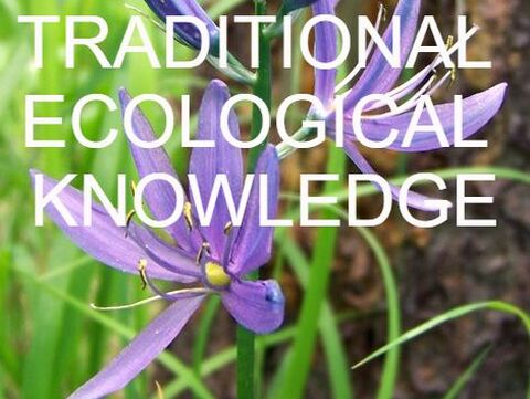 traditional ecological knowledge