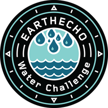 earth echo water challenge