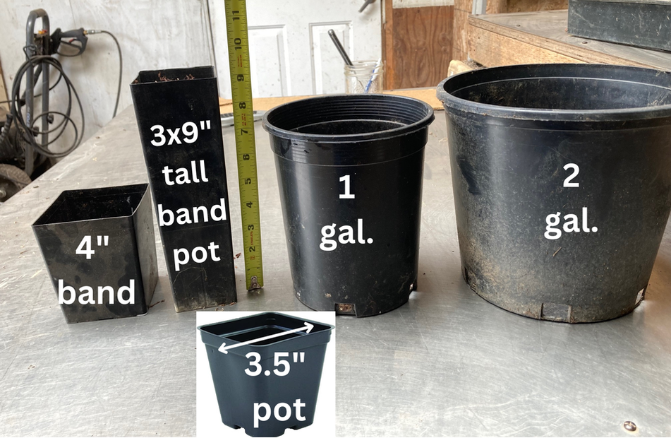 container size guide