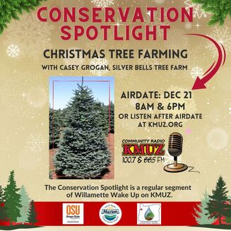 Conservation Spotlight - Christmas Tree farming