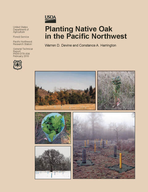 planting native oak in the pacific northwest