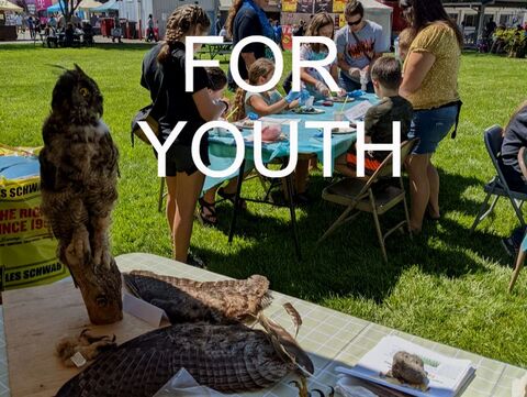 resources for youth