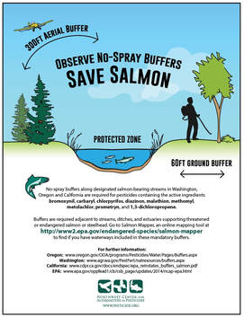 observe no spray buffers save salmon