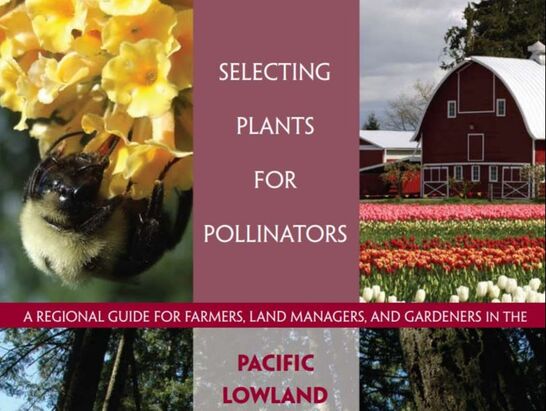 Selecting plants for pollinators a regional guide for farmers, land managers and gardeners in the pacific lowland