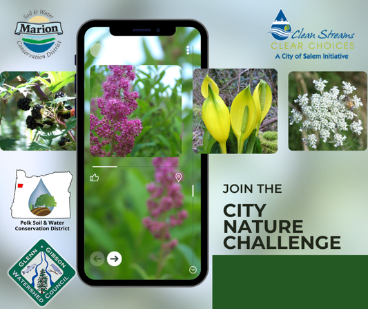 city nature challenge, marion soil and water conservation district, polk soil and water conservation district, clean streams clear choices a city of salem initiative